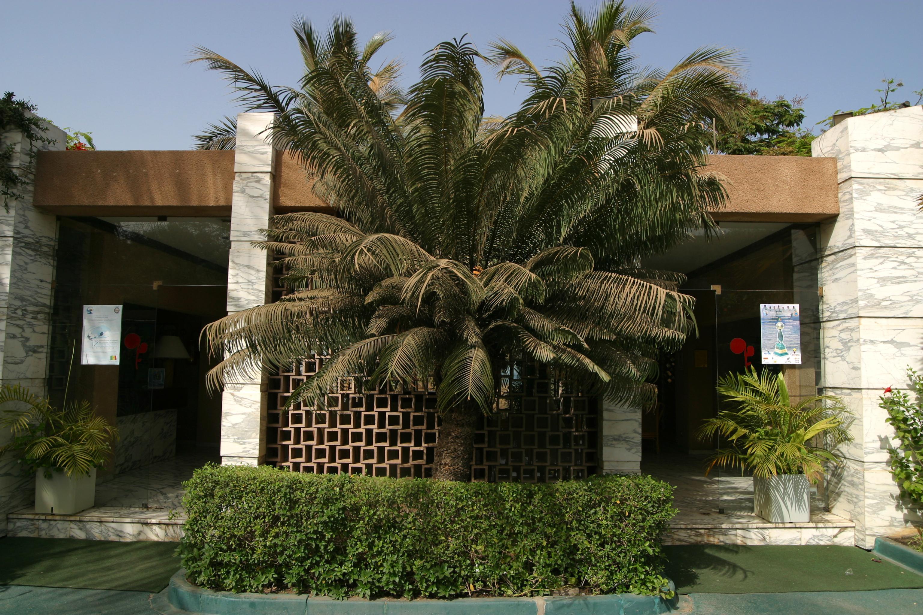 Hotel Jardin Savana Dakar Exterior foto